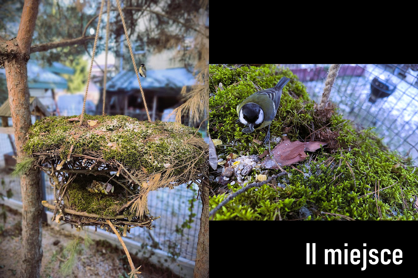 karmnik dla ptak&oacute;w