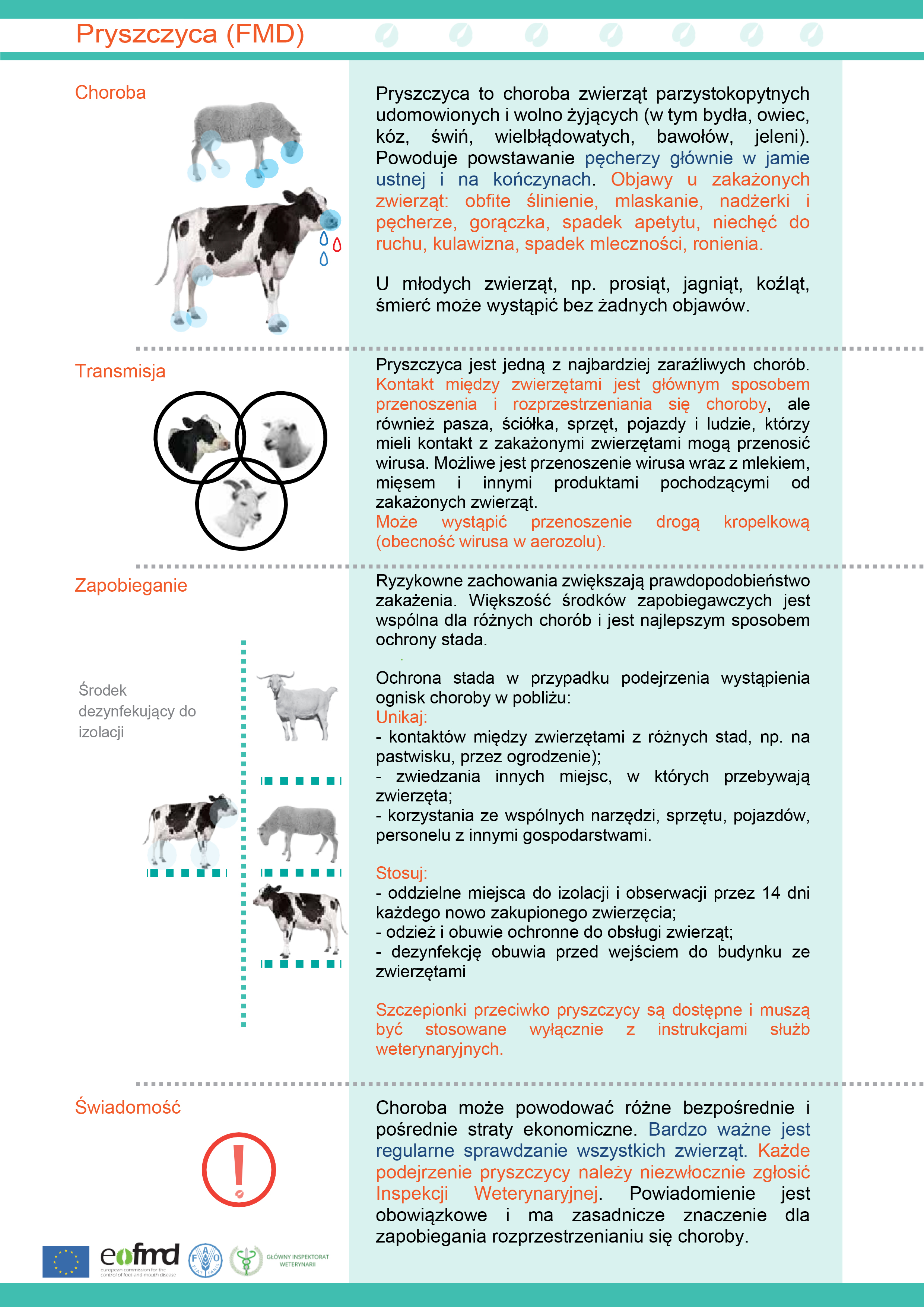 Na plakacie widzimy informacje dotyczące pryszczycy